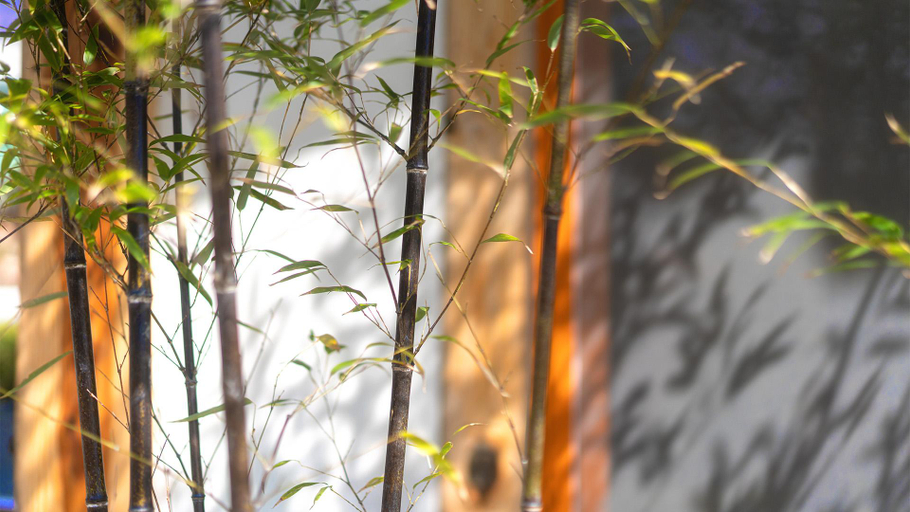 Others 5, Gyeongju Hanok Stay Garden Pension, Gyeongju