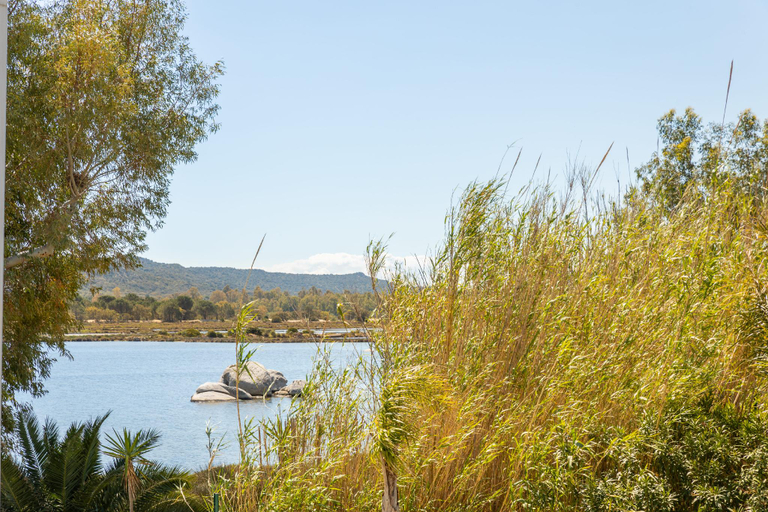 Others, LES ROCHES BLANCHES, Corse-du-Sud