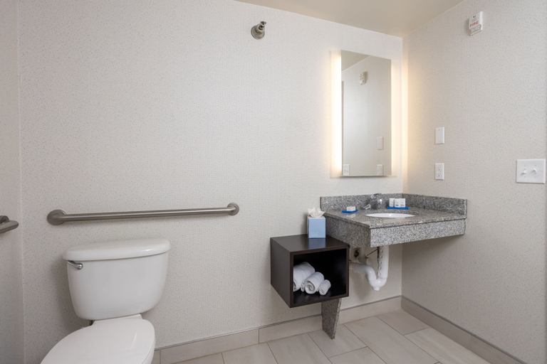 Bathroom 5, Holiday Inn Express CARROLLTON by IHG, Carroll
