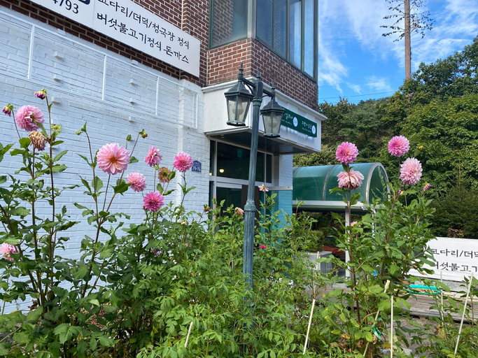 Exterior & Views 1, Gapyeong Dahlia Pension, Gapyeong
