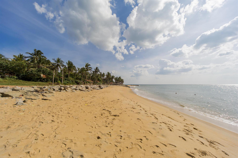 Others 5, Yoho Hotel Red Rose, Negombo