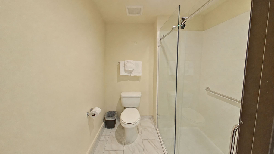 Bathroom 5, Atrium Hotel and Suites DFW Airport South, Irving