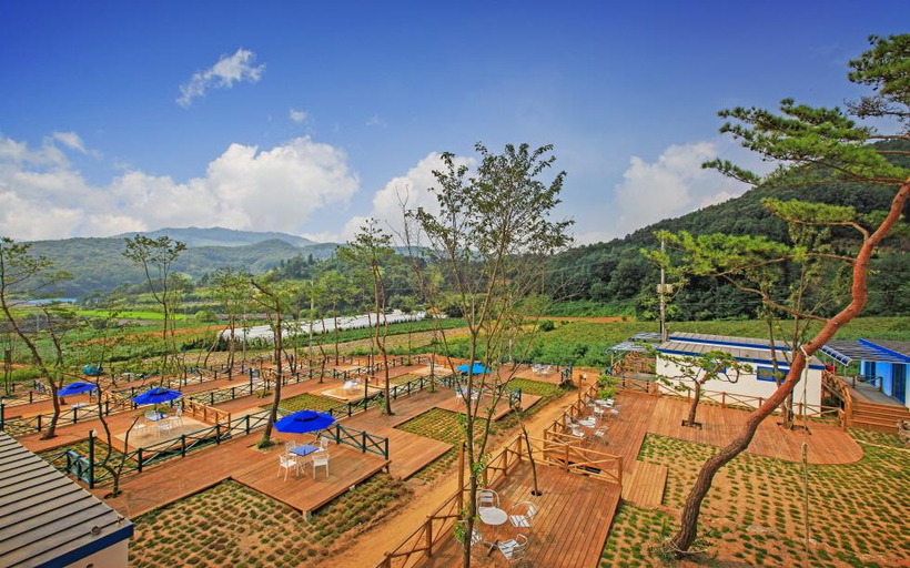 Others 3, Cheongju Mindeulre Myco Pension, Goesan