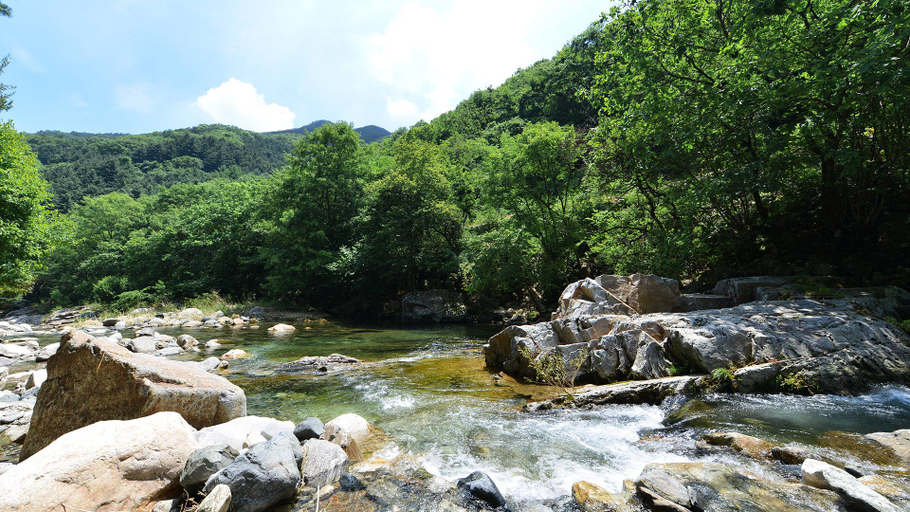 Others 2, Gapyeong Flora Pension, Gapyeong