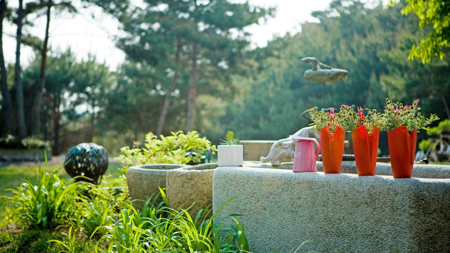 Food & Drinks 2, Taean Poet's Island Pension, Taean