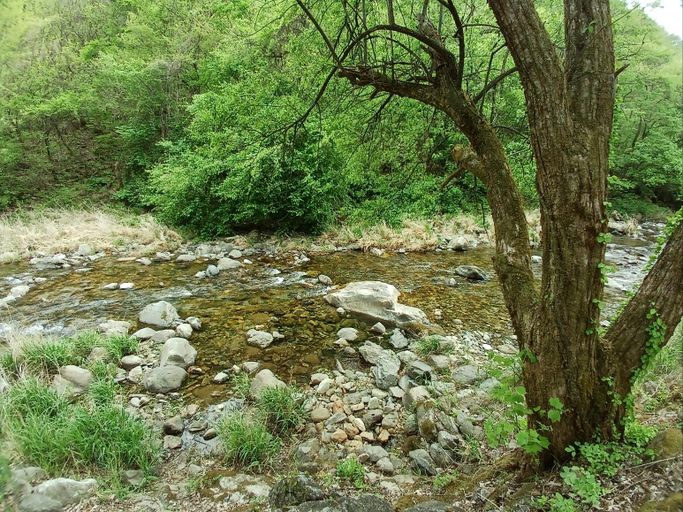 Others 5, Gapyeong Mindfulness Pension, Gapyeong