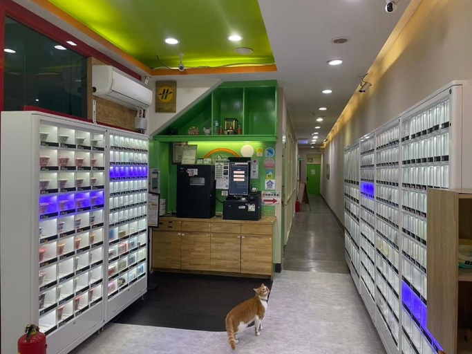 Others, Clover House, Taoyuan