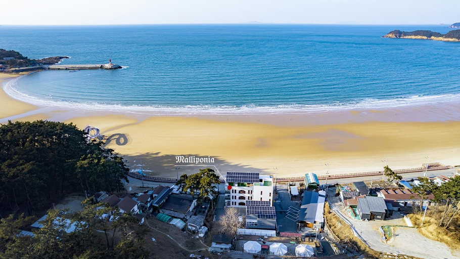 Others 4, Taean Manliponia Pension, Taean