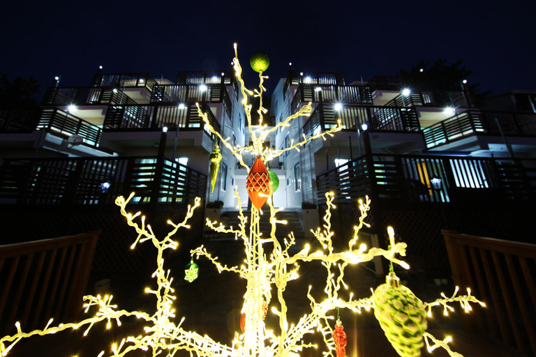 Exterior & Views 1, Seocheon Byeolbitjeongwon Pension, Seocheon