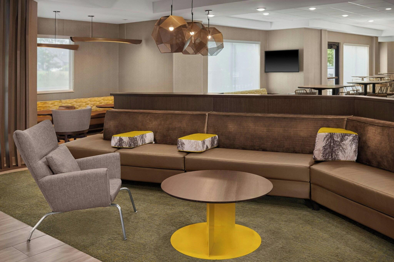 Public Area 2, Springhill Suites By Marriott Lansing West, Eaton