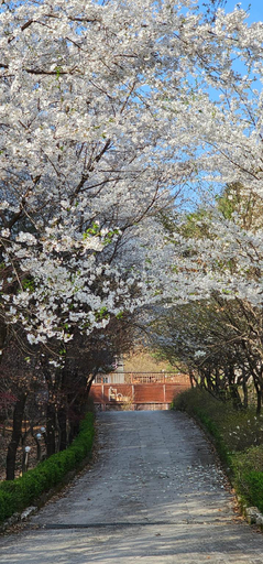 Others 4, Pocheon Forest Pension (Ildong-myeon), Pocheon