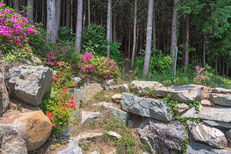 Others 4, Namhae Cypress Tree Pension, Namhae