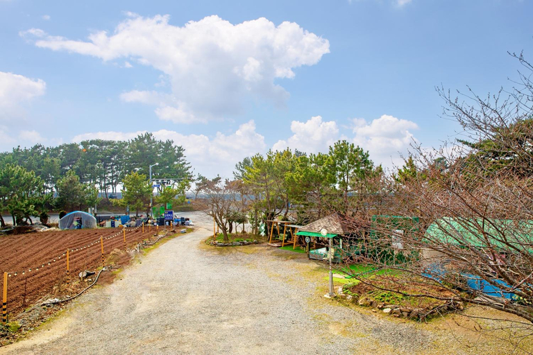 Others 5, Taean Anmyeondo Silver Wave Pension, Taean