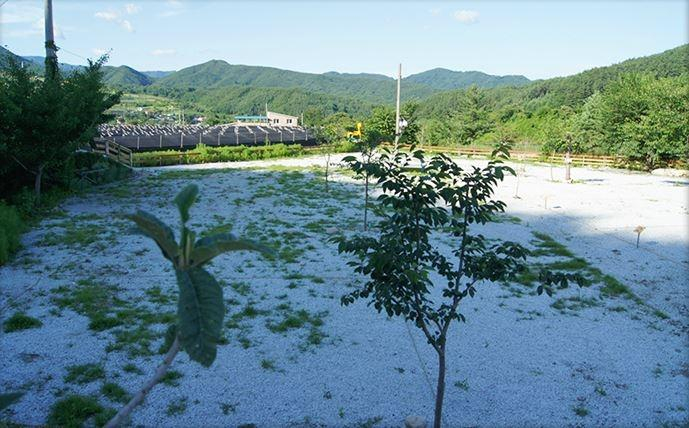 Others 3, Geochang Wolseong Rainbow Pension Camping, Geochang