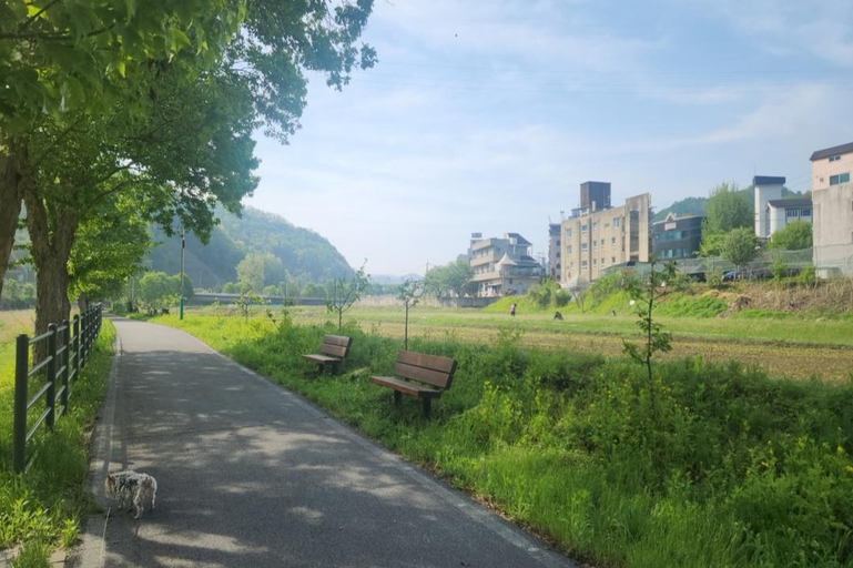 Others 5, Chuncheon (Gangchon) Theme Pension, Chuncheon