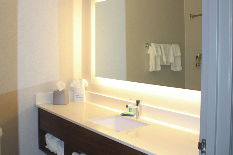 Bathroom 5, Holiday Inn Express & Suites RATON, Colfax