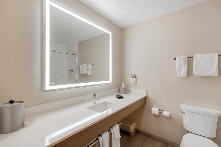 Bathroom 5, Holiday Inn Express & Suites DOUGLAS by IHG, Converse