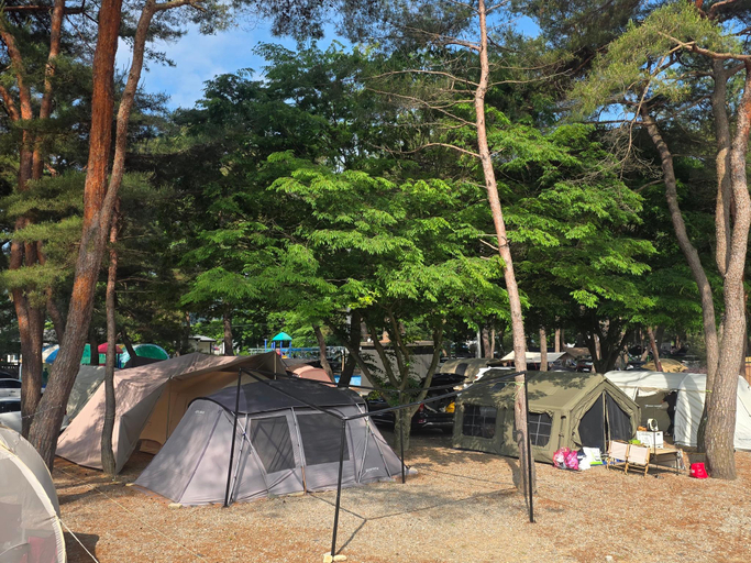 Others 4, Goesan Forest Harmony Pension, Goesan