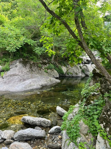 Others 2, Gapyeong Deep Mountain Valley Cabin Pension, Hwacheon