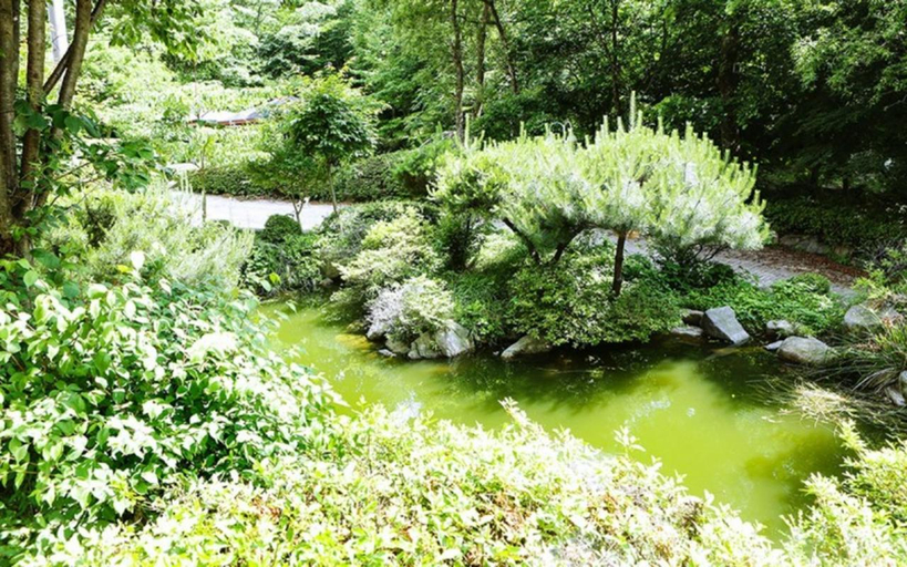 Others 4, Yangpyeong Yongcheon Sky Valley, Gapyeong