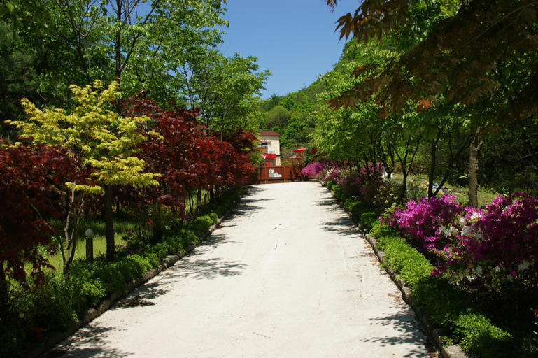 Others 5, Pocheon Forest Pension (Ildong-myeon), Pocheon