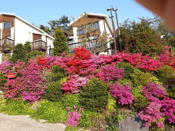 Exterior & Views 2, Taean (Anmyeondo) Haemaru Pension, Taean