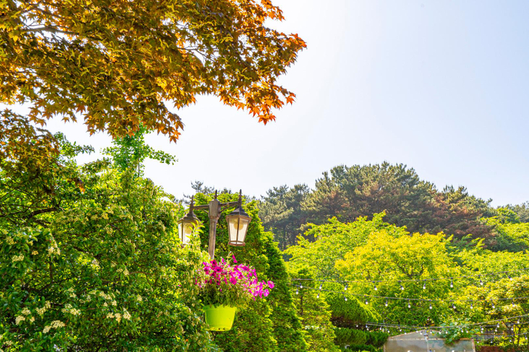 Others 5, Yongyu Island Pureun Sol Pension, Jung