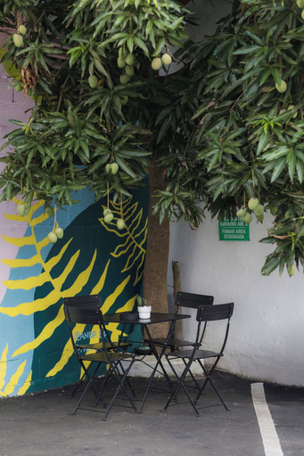 Others 4, Room 13: Breezy Veranda Stay w/ City Views