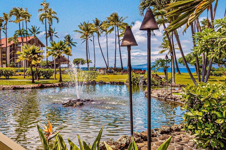 Sport & Beauty, Papakea K406 OceanView 2 Bedroom/2 bath 2 Condo by RedAwning, Maui