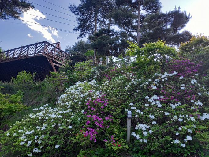 Others 2, Hoengseong Dream Tree Pension, Hoengseong