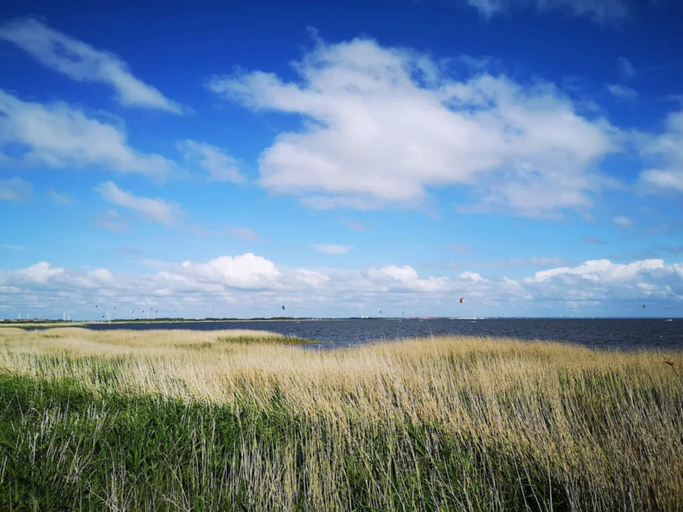Others 5, 4 Person Holiday Home in Ringkobing-by Traum, Ringkøbing-Skjern