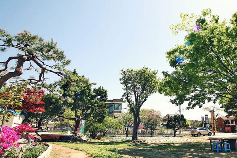 Others 2, Ganghwa Island Zelkova Tree, Ganghwa