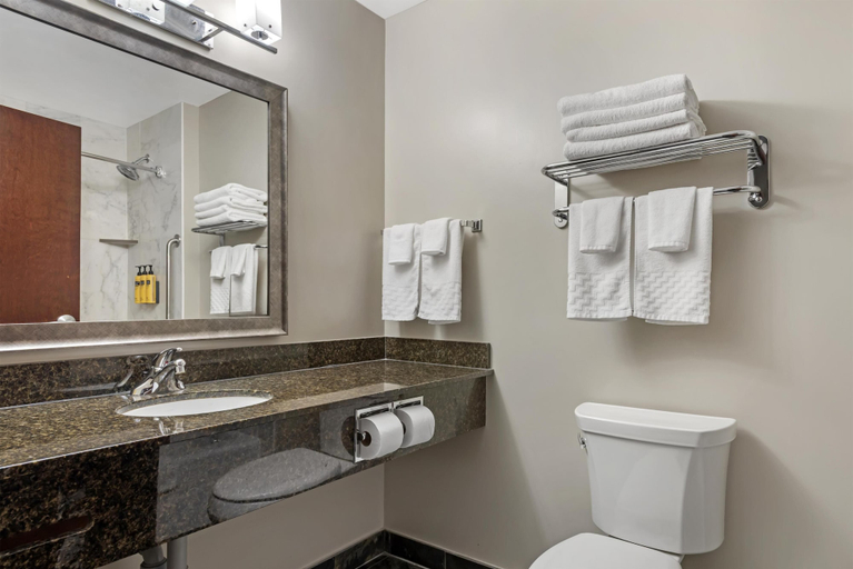 Bathroom 3, Best Western Plus Brandon Inn, Division No. 7