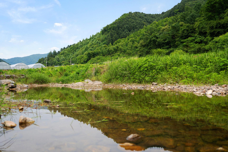 Others 5, Gapyeong Maid Pension, Gapyeong