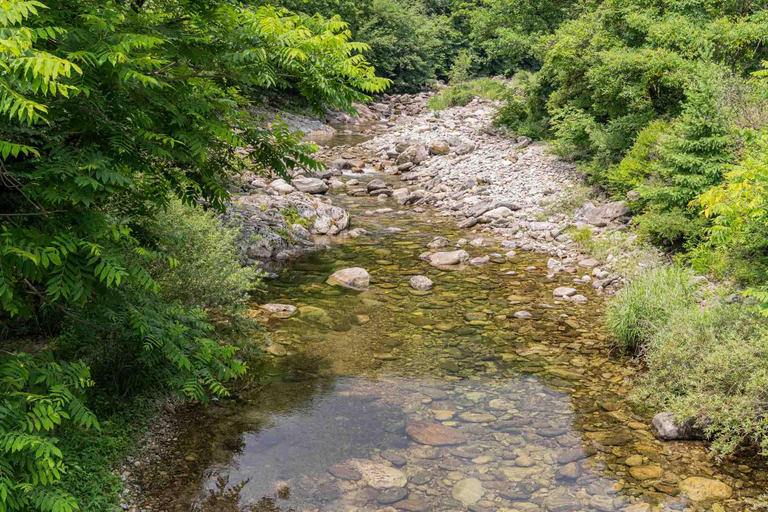 Others 2, Gapyeong Chess Pension, Pocheon