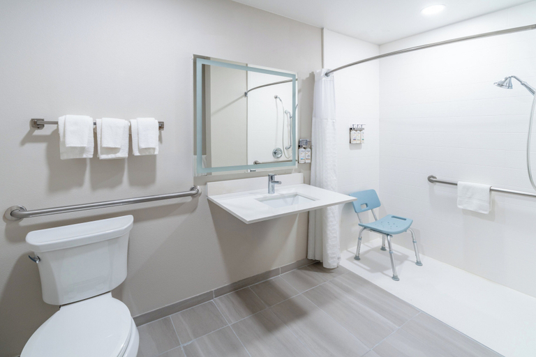 Bathroom 5, Holiday Inn Express & Suites DENVER NORTH - THORNTON by IHG, Adams
