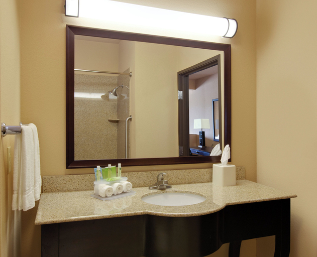 Bathroom 4, Holiday Inn Express & Suites ENNIS by IHG, Ellis