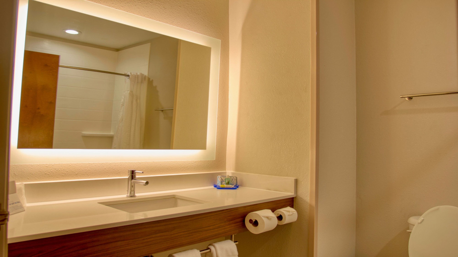 Bathroom 4, Holiday Inn Express & Suites BYRAM by IHG, Hinds