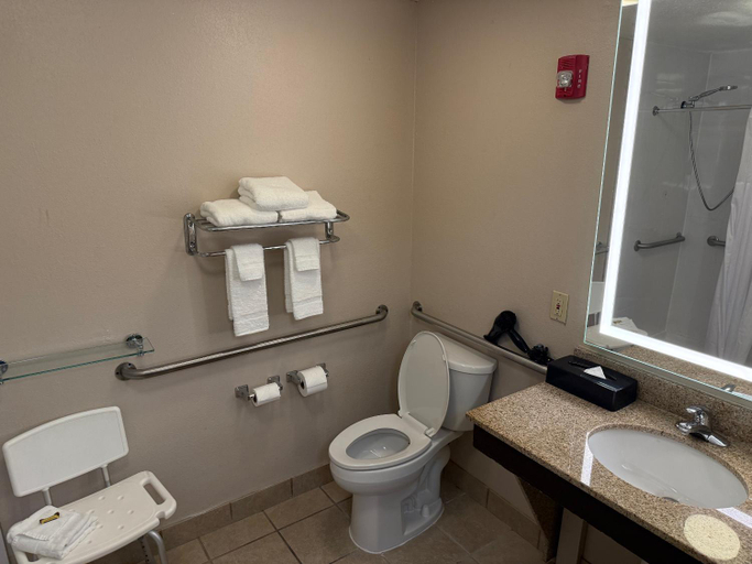 Bathroom 4, Comfort Inn & Suites Bradenton North I-75, Manatee