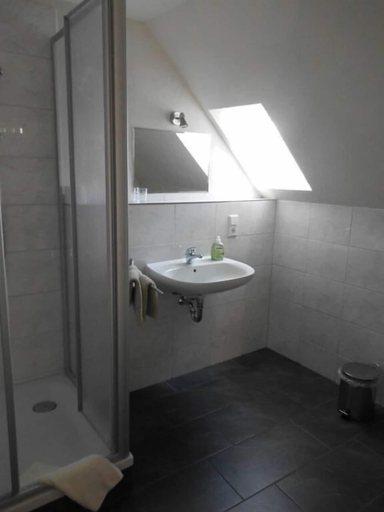 Bathroom, Die Oberlochmühle PENSION, Erzgebirgskreis