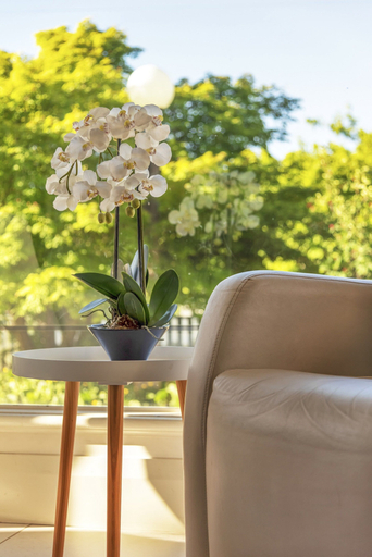 Living room 2, Bradman View Bowral Garden and Fireplace Retreat, Wingecarribee