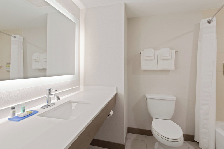 Bathroom 4, Holiday Inn Express & Suites LARGO-CLEARWATER by IHG, Pinellas