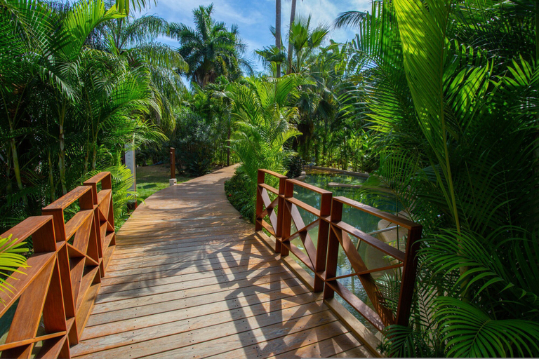 Room 4, Quiya Beach Residences, Compostela
