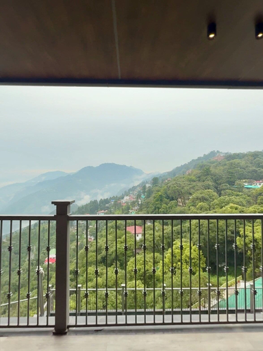 Property grounds, Checkmate, Dehradun