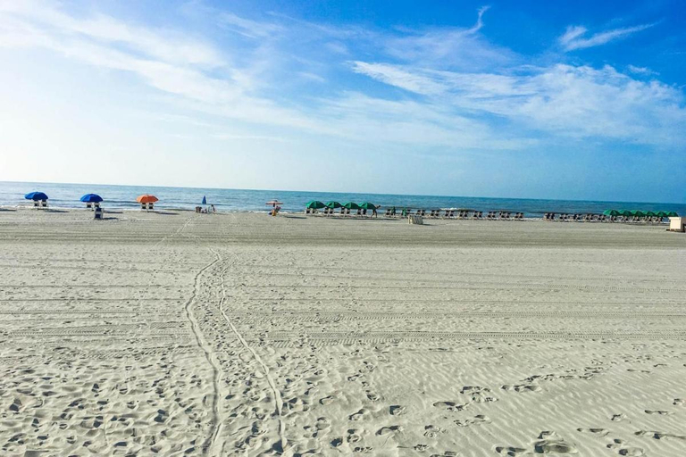 Others 5, Place at the Beach & Slice of Heaven, Horry