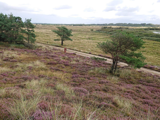 Others 4, 5 Person Holiday Home in Vejers Strand, Varde