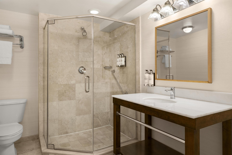 Bathroom 4, Best Western Premier Plainview-Long Island Hotel, Nassau