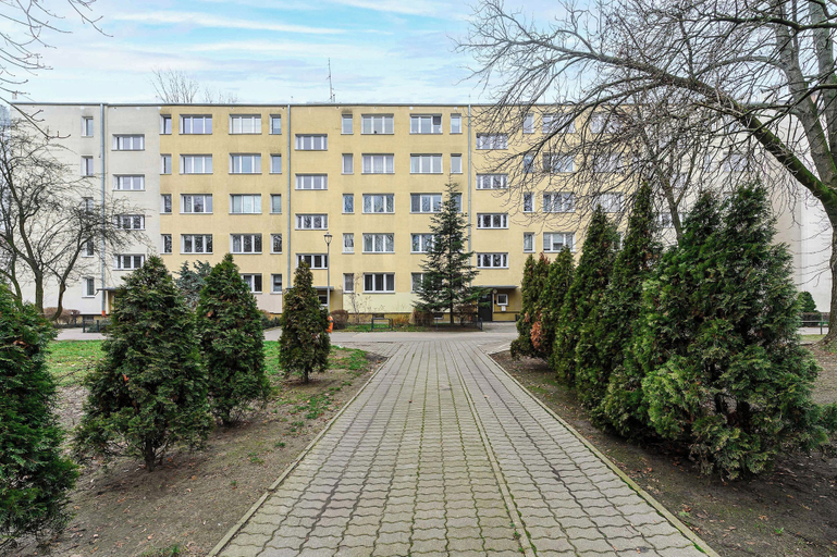 Primary image