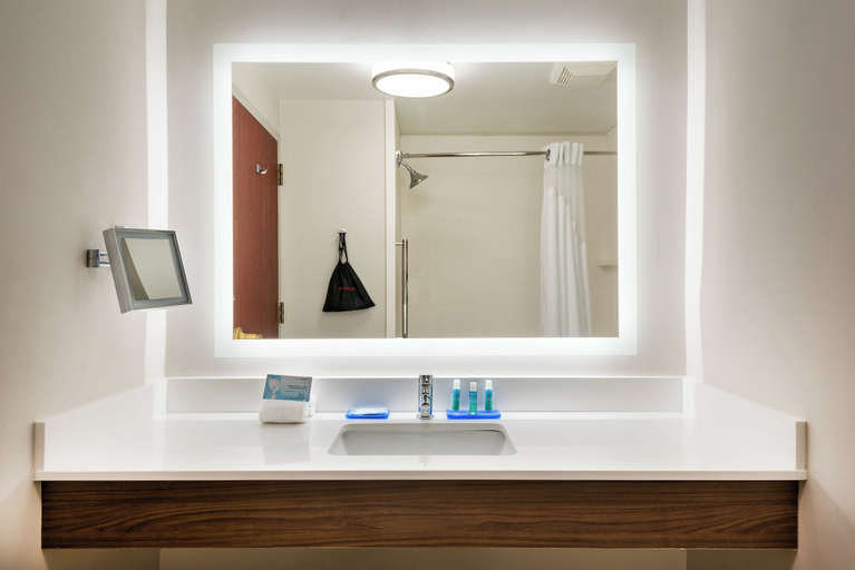 Bathroom 4, Holiday Inn Express & Suites BARTOW by IHG, Polk