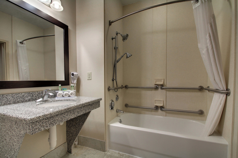 Bathroom 4, Holiday Inn Express & Suites WINONA NORTH by IHG, Montgomery